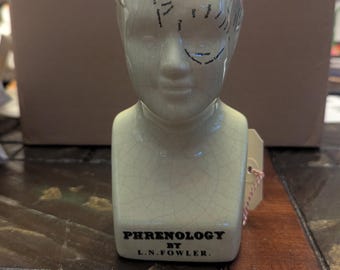 Phrenology Head Bust