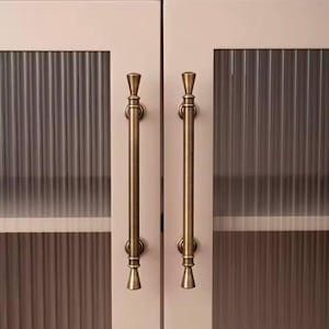 Può includere: Due maniglie per ante di armadio in oro antico con un design scanalato. Le maniglie sono fissate a un armadio con ante in vetro.