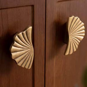 Può includere: Due maniglie per ante di armadio a forma di ventaglio o conchiglia, di colore dorato. Le maniglie sono montate su una porta di armadio in legno.