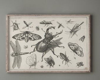 Vintage Beetle and Moth Printable Wall Art | Moody Insect Entomology Print | Dark Academia Decor | Cottagecore Instant Download | S202