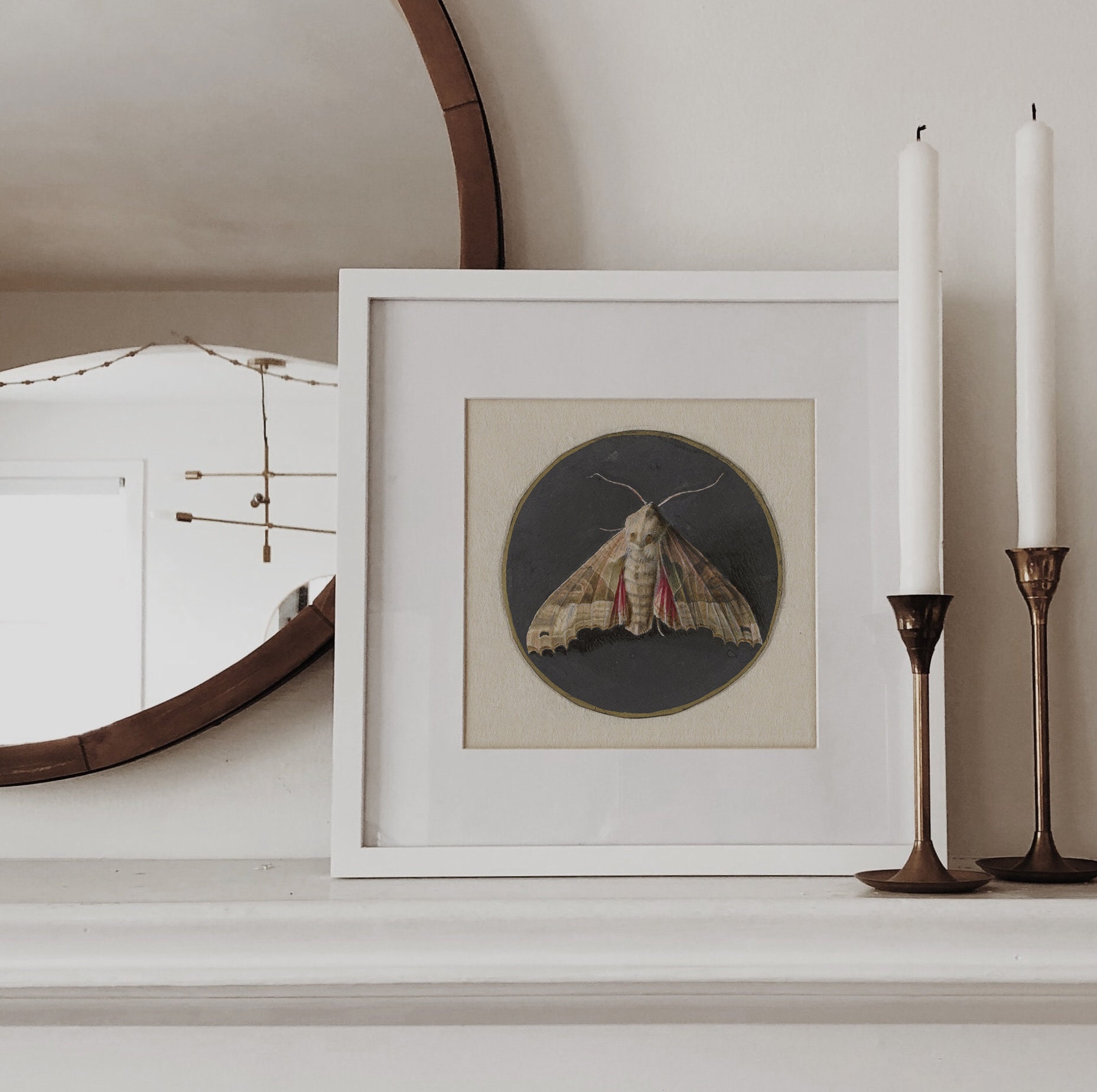 Vintage Moth Print | Vintage Wall Art Download | Printable Cottagecore ...