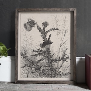 Vintage Bird and Thistle Print | Antique Nature Drawing | Moody Victorian Botanical Decor | Dark Cottagecore Instant Digital Download | S156