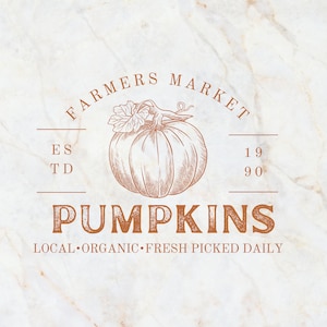 Farmers market pumpkins png digital design