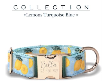 Turquoise Blue Customized Fruit  Dog Collar, Lemons Collection, Adjustable for Small, Medium, and Large Dogs, Personalized Buckle.