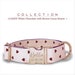 see more listings in the HEARTS DOG COLLAR  section