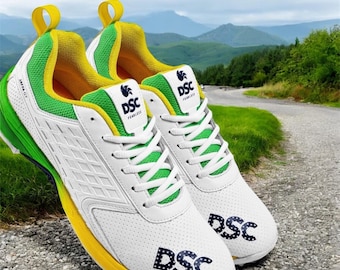 DSC Jaffa 22 GT cricket shoes
