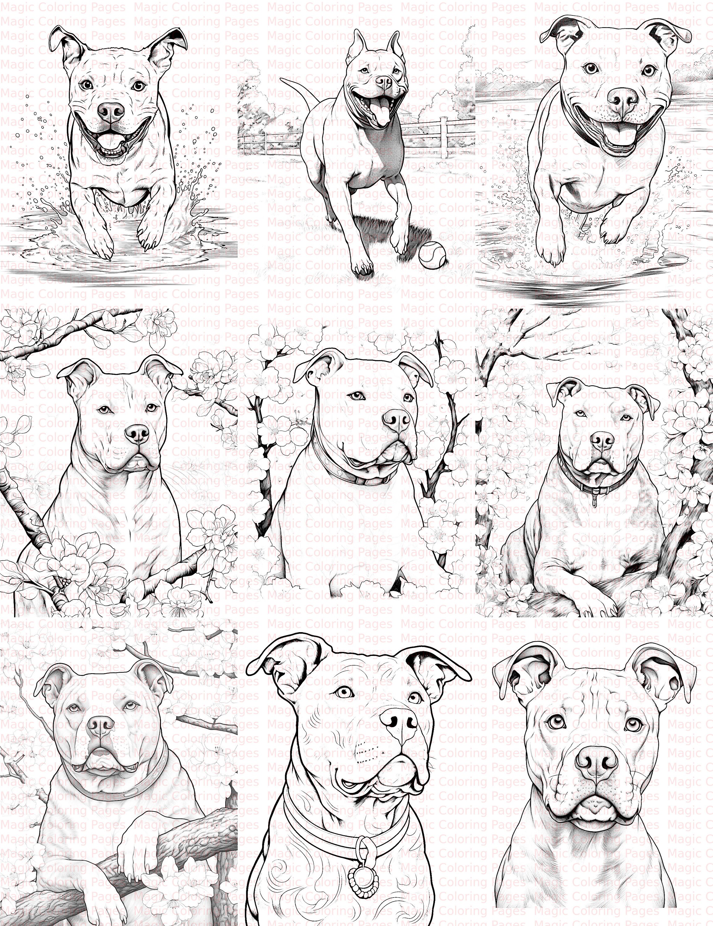 39 Paw-some Pitbull Printable Coloring Pages: Fun-filled Art for Dog ...