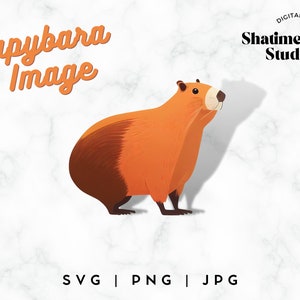 Capybara SVG PNG JPG | Cute Capybara | Capybara Clipart | Sitting Capybara | Clip art | Clipart Cut file for Cricut | Capybara art t shirt