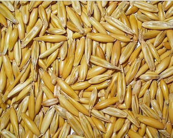 May include: A close-up image of a pile of oat groats. The oat groats are a light golden brown colour and have a slightly elongated shape.