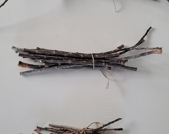 Branche de saule de 7 à 17 pouces, 3 variétés, paquet de 10