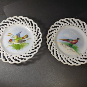 Vintage Ardalt Lenwile porseleinen borden: handbeschilderde fazant en vink