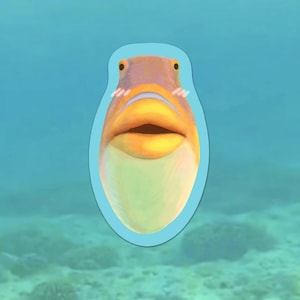 May include: A cartoon illustration of a fish with a light purple head, orange mouth, and a white belly. The fish is outlined in a light blue oval shape, with a blue background that resembles the ocean.