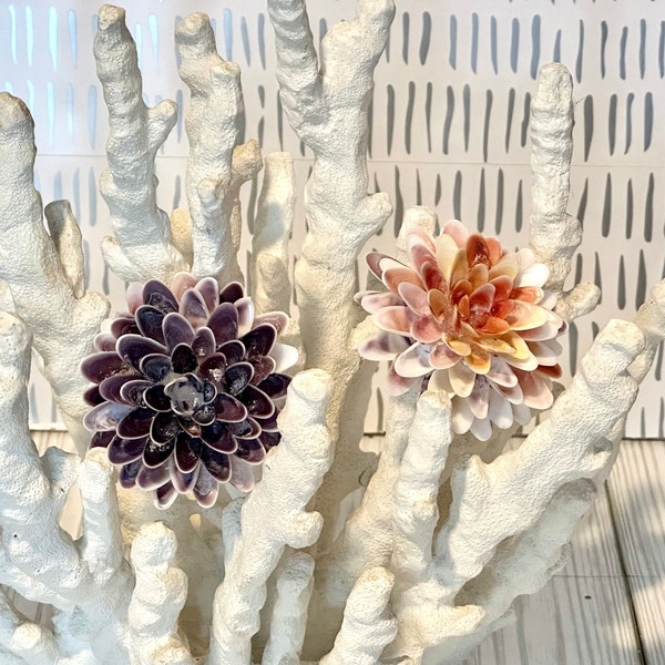 Handmade Shell Flower, Forever Flower, Shell Art, Coastal Decor, Seashell Centerpiece, Beach House Decoration, Bowl Filler, Gift for Sheller