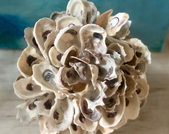 Oyster Shell Ball, Natural Seashells, Shell Decor, Coastal Decor for table or shelf