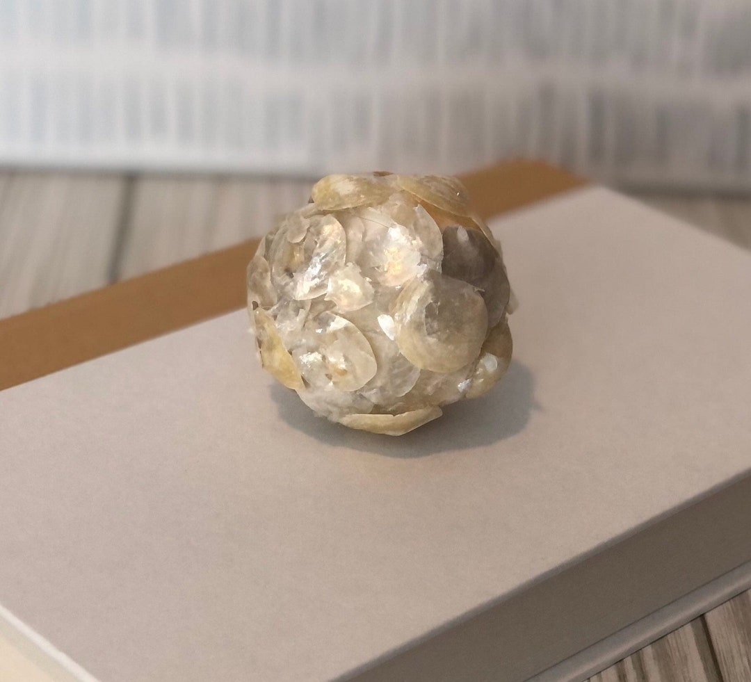 Natural Seashell Balls, Vase Filler Decor, Coastal Art, Jingle Shells