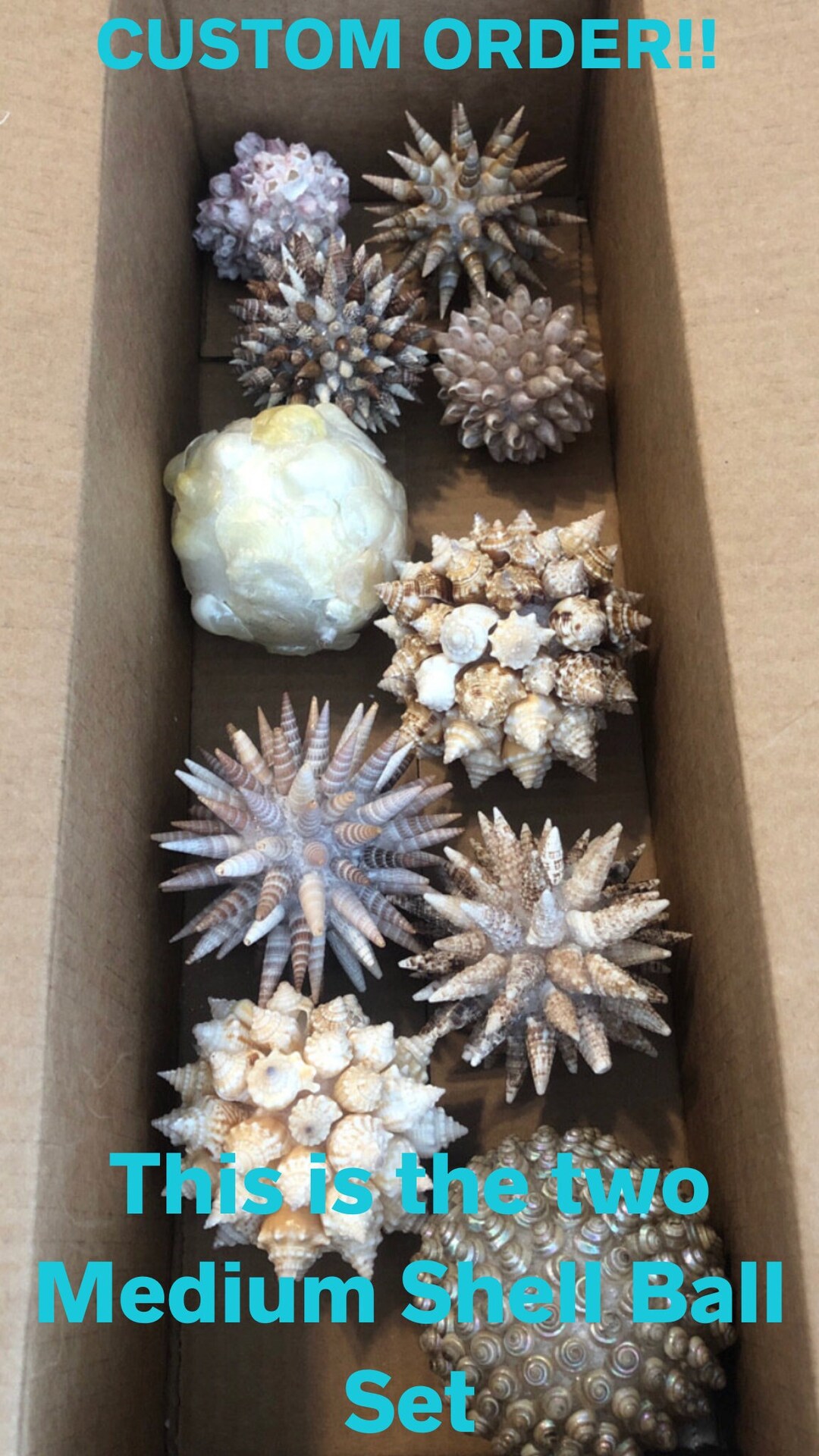 Natural Seashell Balls, Vase Filler Decor, Coastal Art, Beach House