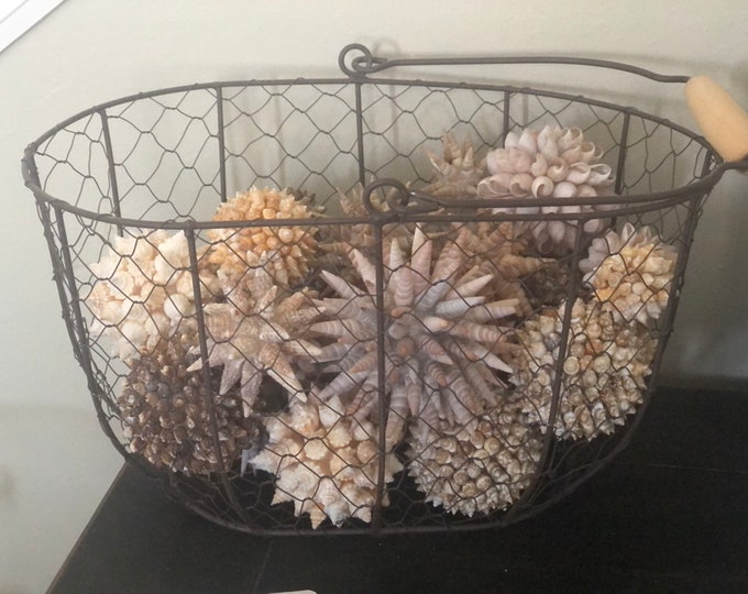 Natural Seashell Balls, Vase Filler Decor, Coastal Art, Beach House