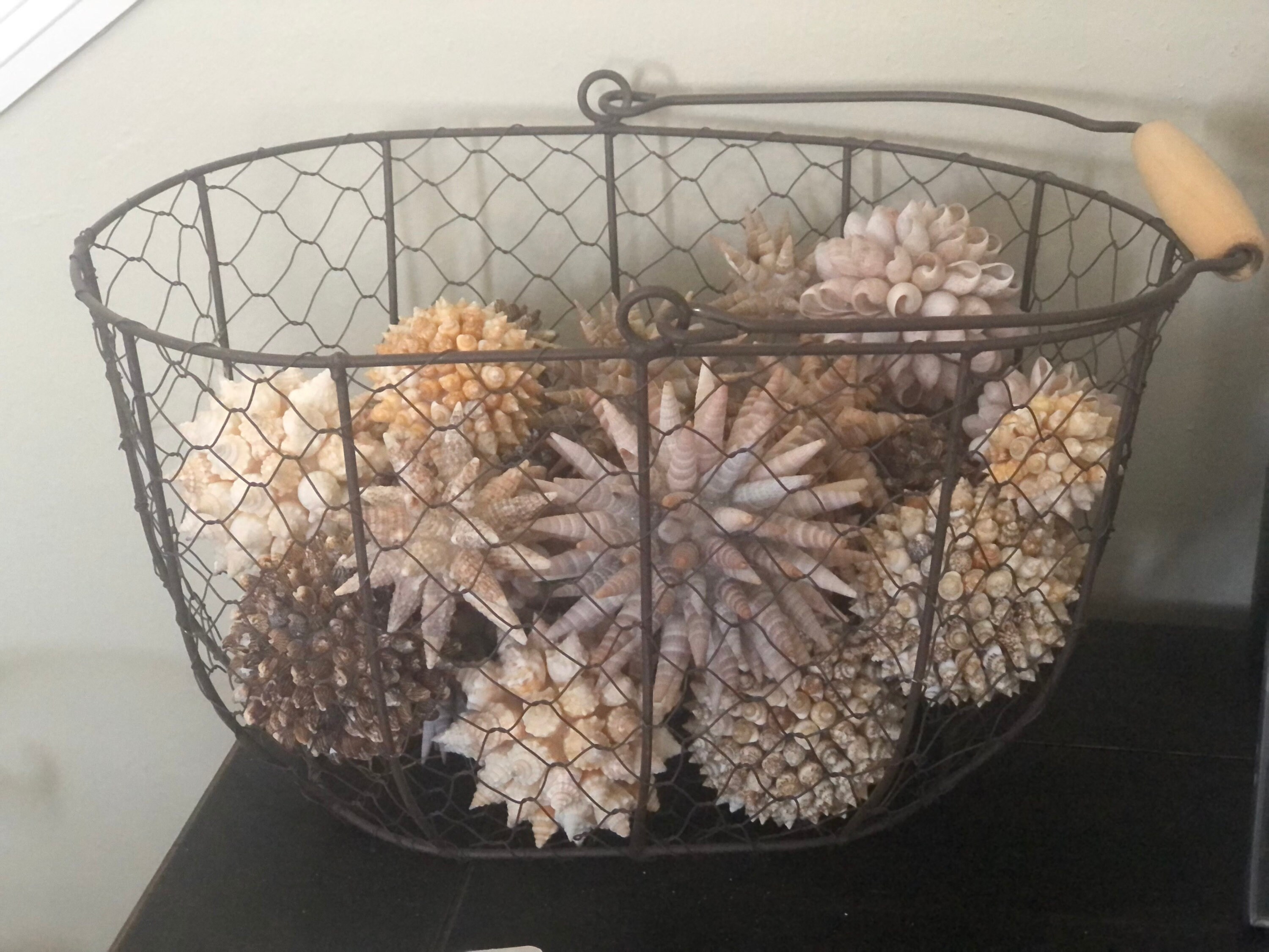 Natural Seashell Balls Vase Filler Decor Coastal Art Beach Etsy