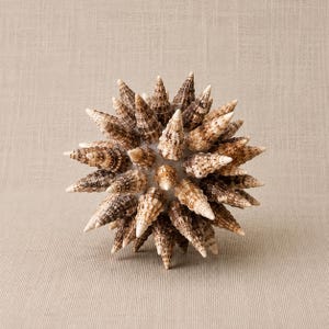 May include: A spherical decorative object constructed from numerous small, pointed sea shells. The shells are arranged in a radial pattern, featuring shades of brown, tan, and cream with speckled patterns, radiating outward from a central core.