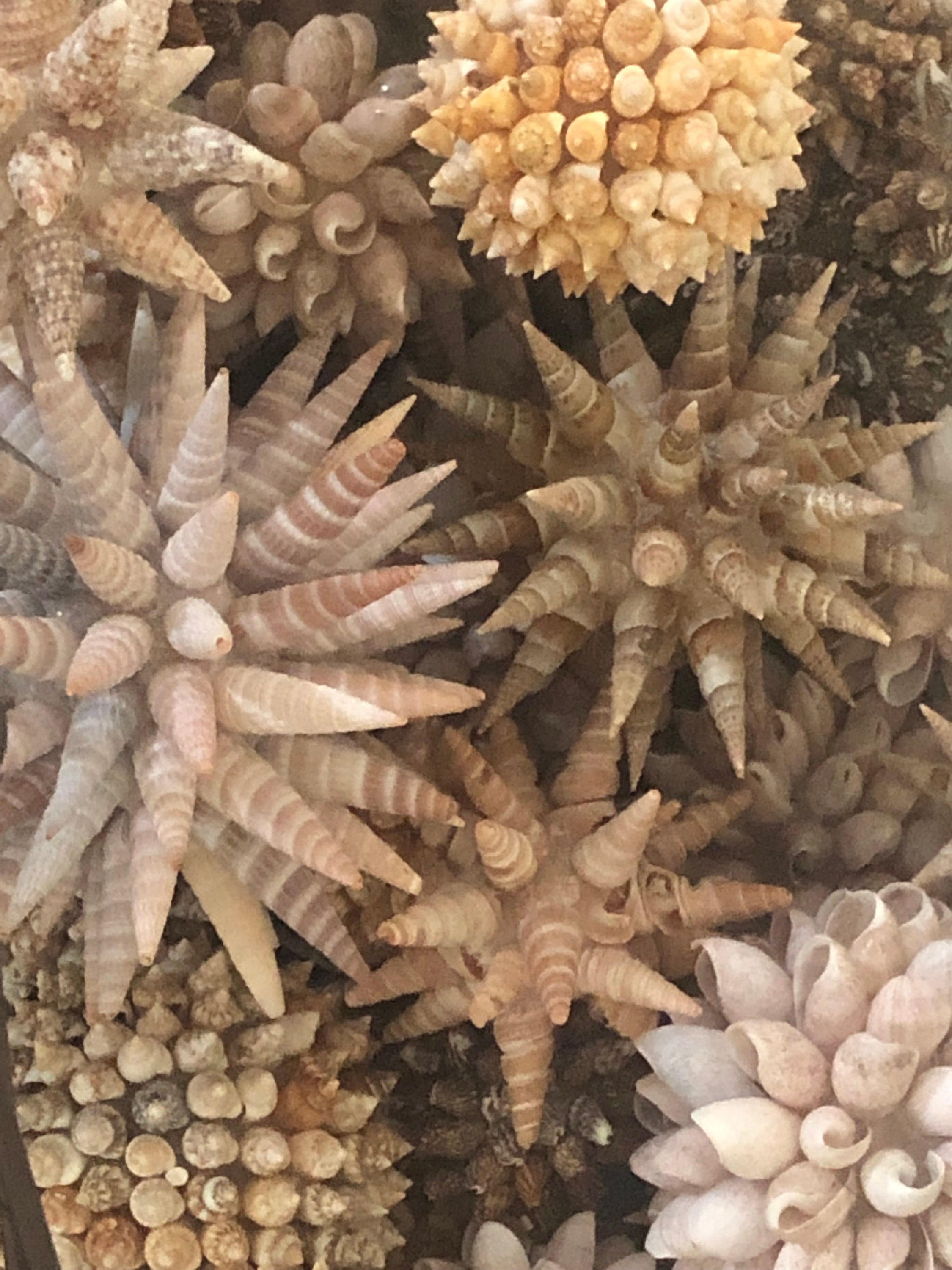 Natural Seashell Balls Vase Filler Decor Coastal Art Beach Etsy