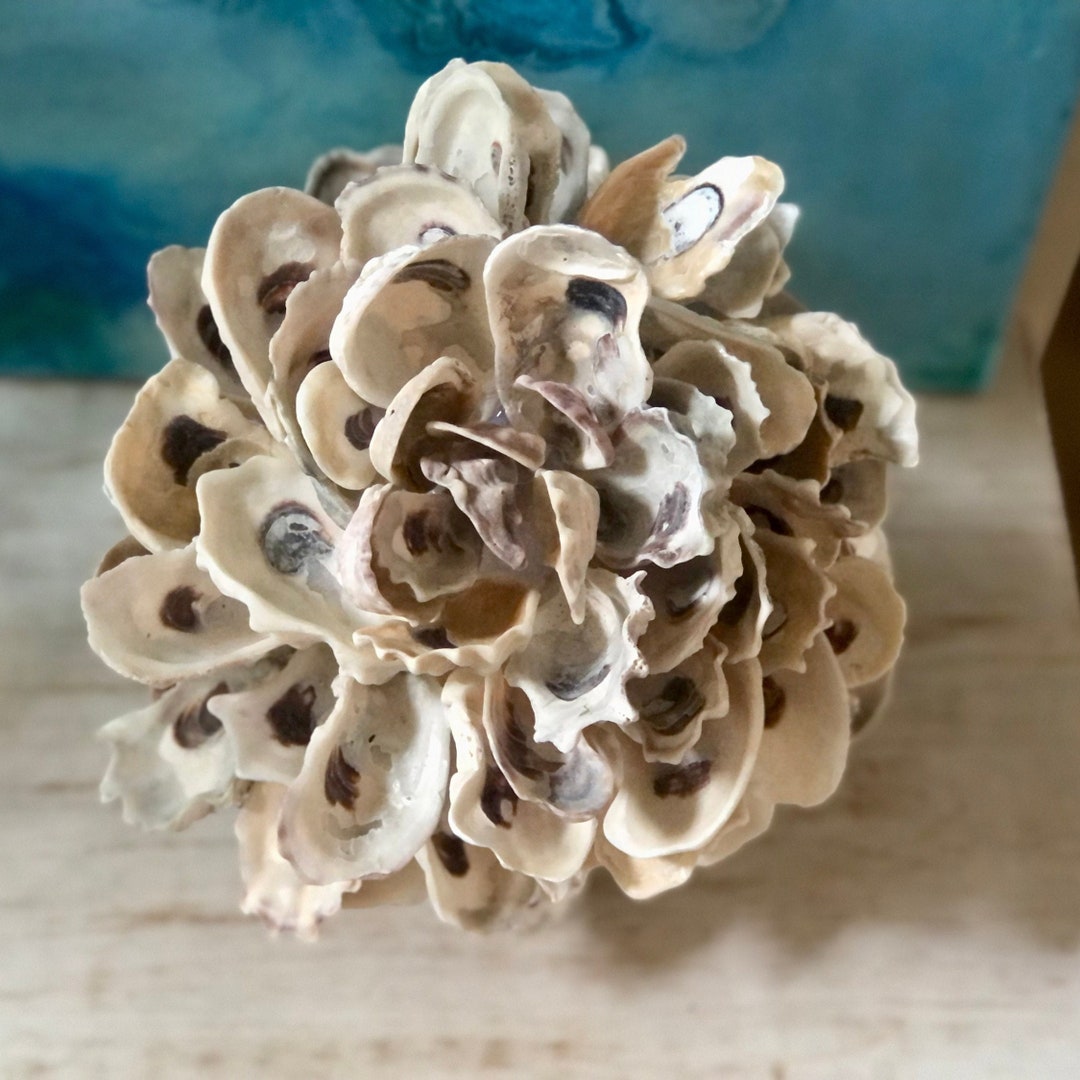 Oyster Shell Ball, Natural Seashells, Shell Decor, Coastal Decor for
