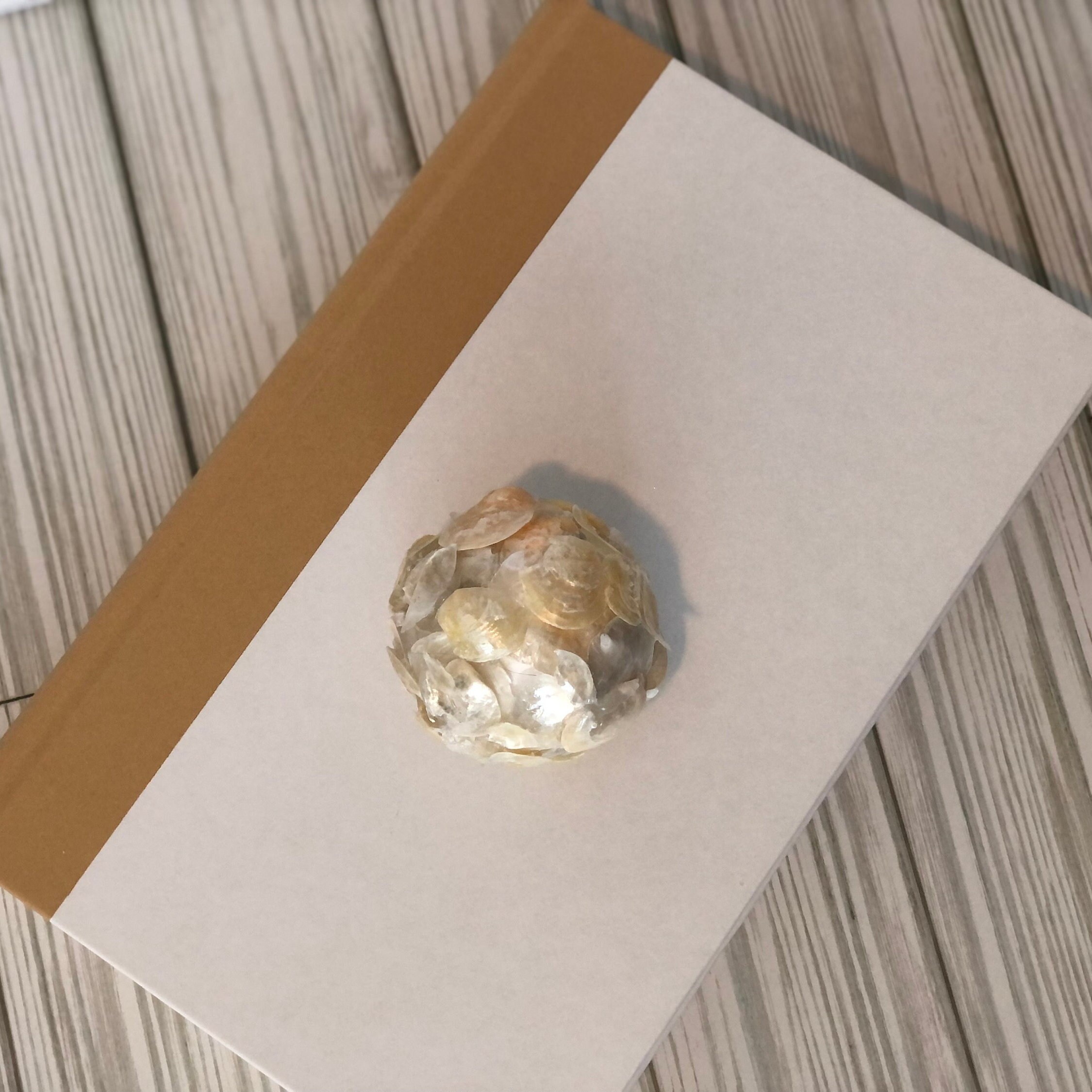 Natural Seashell Balls Vase Filler Decor Coastal Art Jingle Etsy