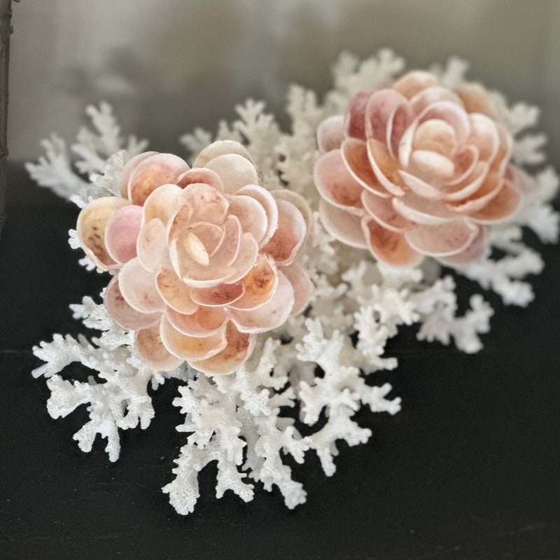 Seashell Centerpiece - Etsy