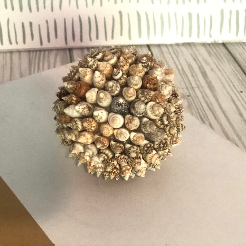 Vase Filler Decor Coastal Decor Housewarming Gift for Beach Etsy