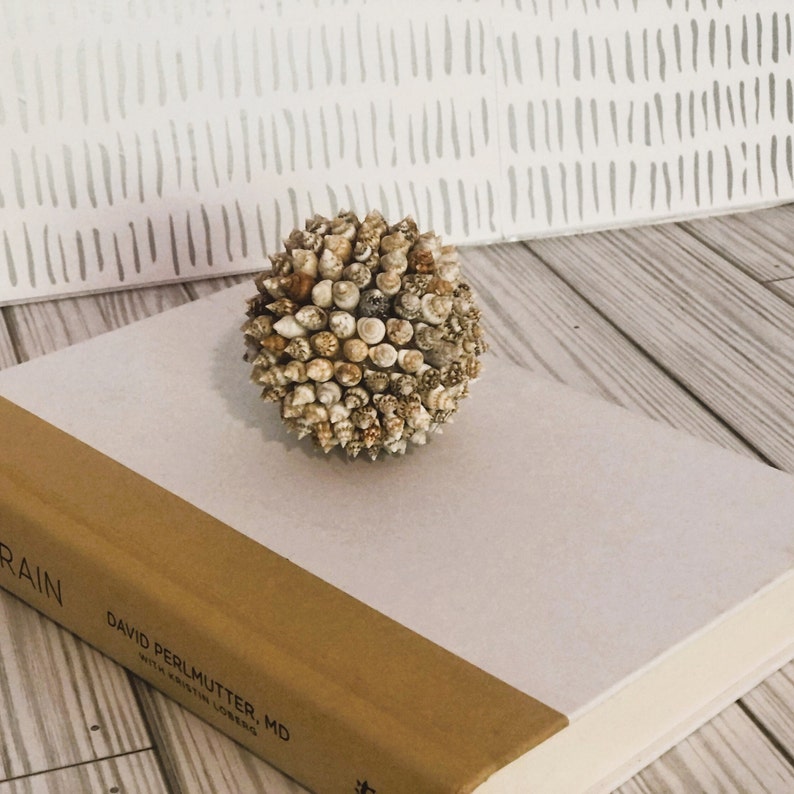 Vase Filler Decor Coastal Decor Housewarming Gift for Beach Etsy