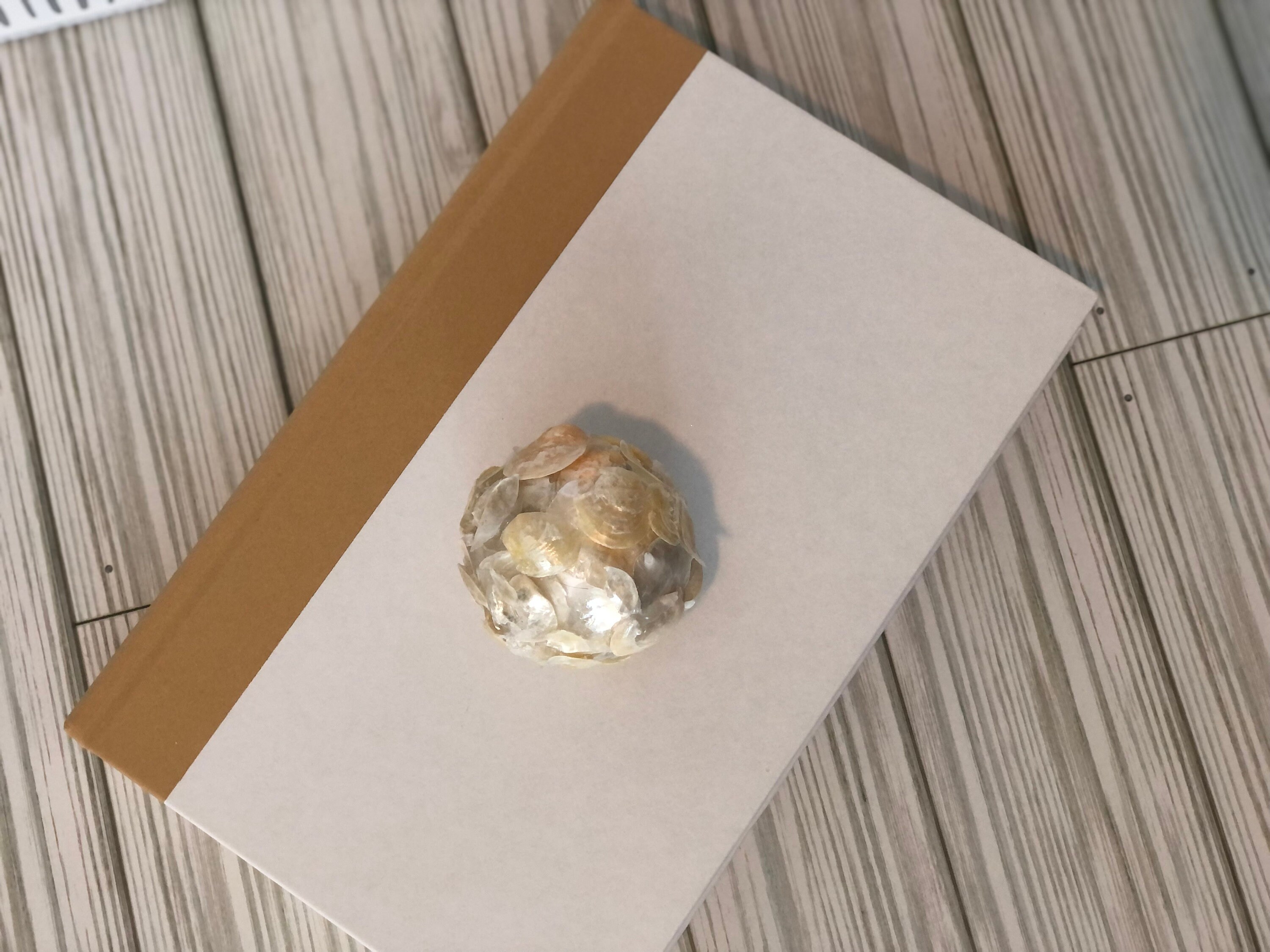 Natural Seashell Balls Vase Filler Decor Coastal Art Jingle Etsy