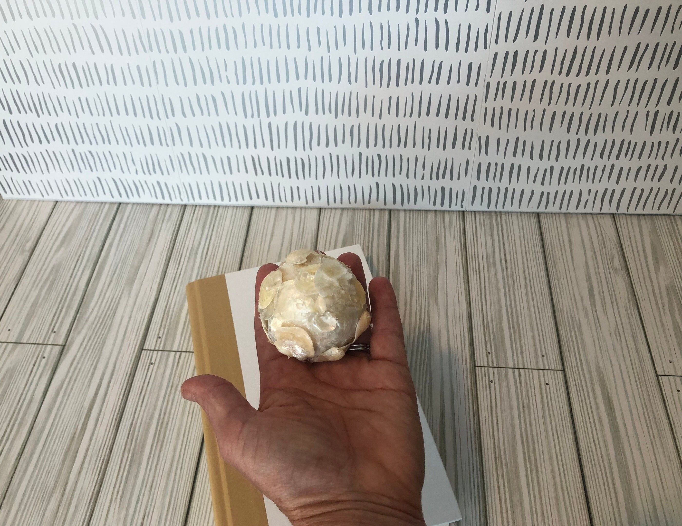 Natural Seashell Balls Vase Filler Decor Coastal Art Jingle Etsy