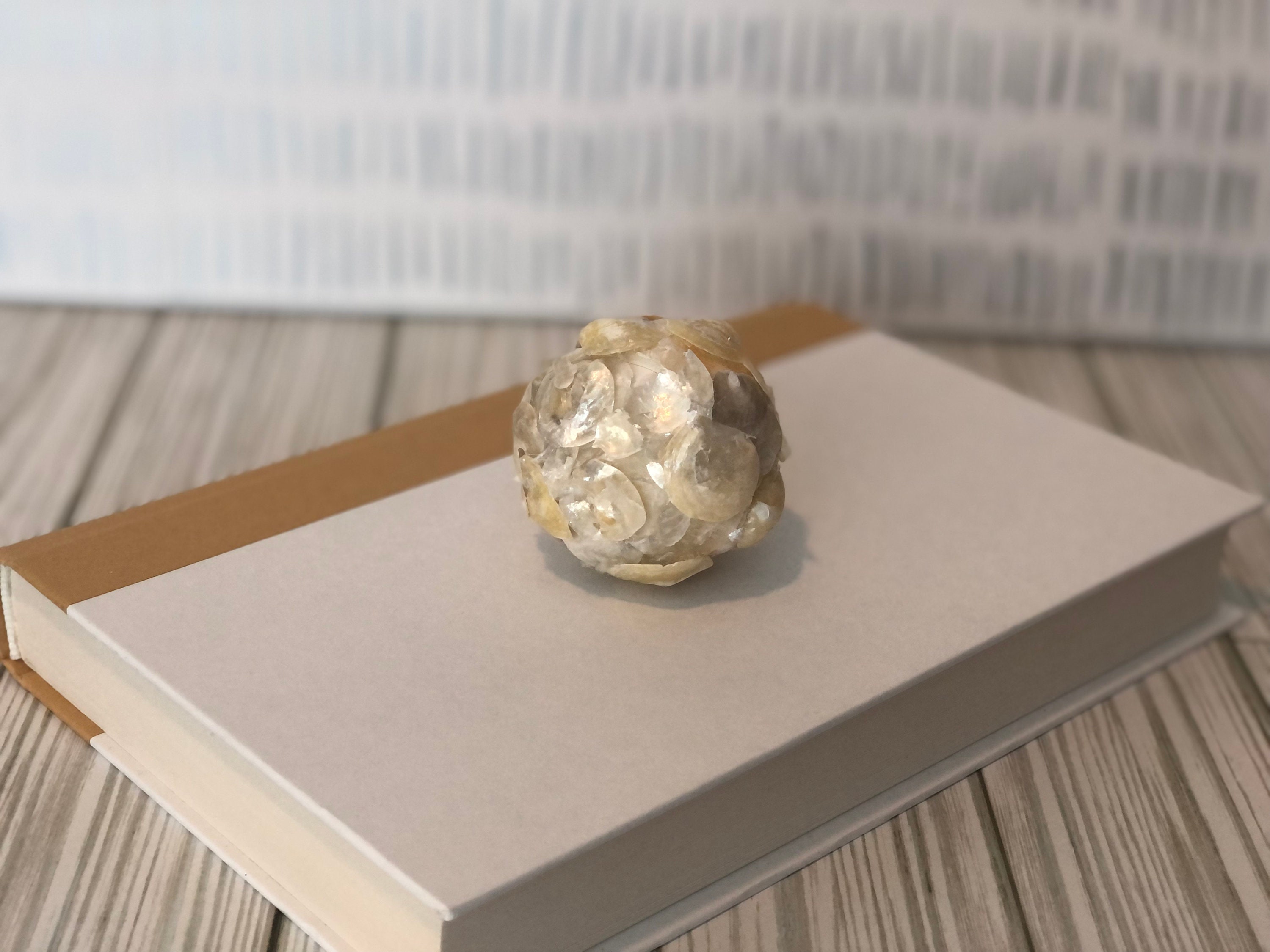 Natural Seashell Balls Vase Filler Decor Coastal Art Jingle Etsy