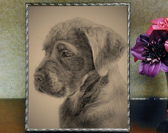 Puppy Sketch - Digital Art