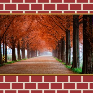 Beautiful Fall Drive - Digital Print