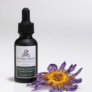 Blue Lotus Tincture (Alcohol-free) – MAX STRENGTH (188x) || Organic | Glycerite