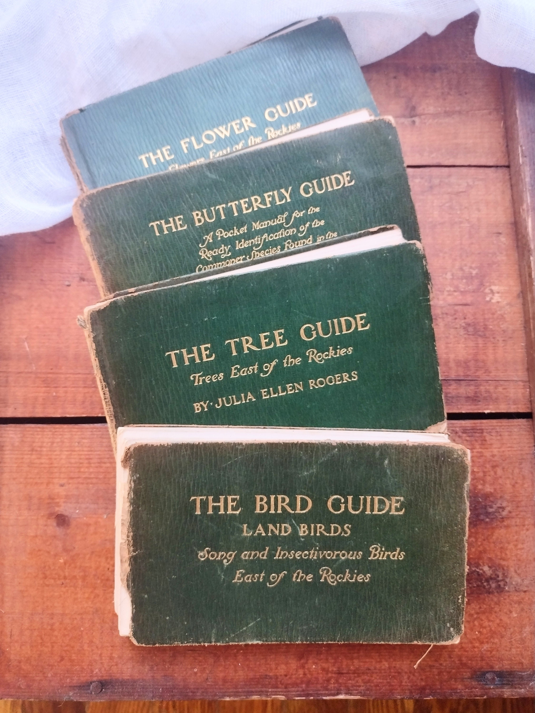 Pocket Bird Guide - Etsy