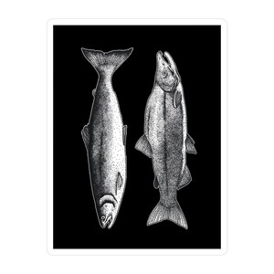 Sockeye Salmon Sticker - Fish Sticker, Travel, Fishing, Hiking, Life Outdoors, Endangered Species, Outdoors, West Coast, Pacific Northwest