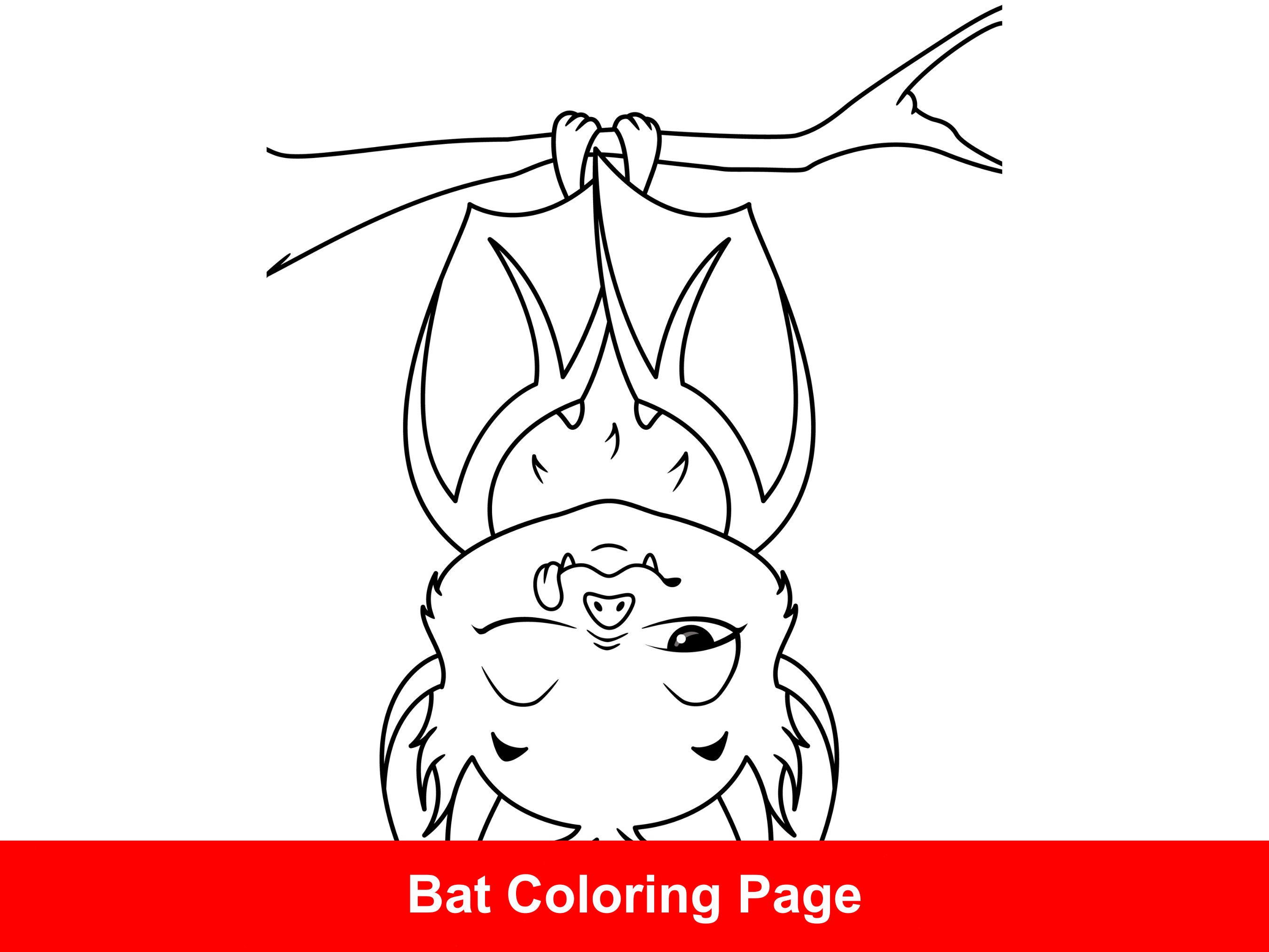 Black Bat Coloring Page