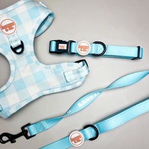 Blue gingham dog harness set