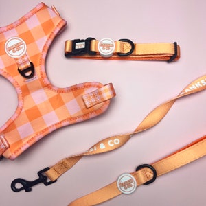 Orange dog harness set