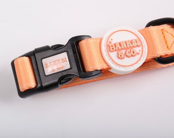 Orange Dog Collar