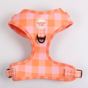 Fruit Tingle dog harness