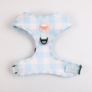 Bluey gingham dog harness