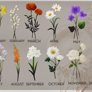 May include: A chart showing a different flower for each month of the year. January is a yellow daffodil, February is a white lily of the valley, March is an orange marigold, April is a white daisy, May is a purple violet, June is an orange flower, July is a white aster, August is an orange gladiolus, September is a white narcissus, October is a white chrysanthemum, November is a white rose, and December is a pink carnation.