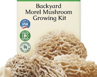 Morel Habitat Kit® : Backyard Habitat - Morchella Esculenta