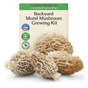 Morel Habitat Kit ® Morel Mushroom Grow Kit