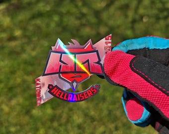 HellRaisers Holo Katowice 2015 CSGO CS Counter Strike CS2 Sticker