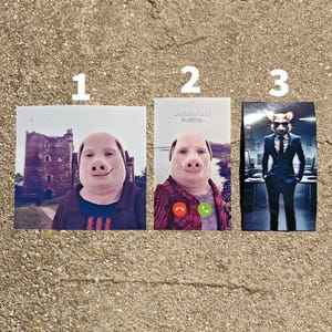 John Pork, John Pork is Calling, Tim Cheese Stickers, Meme Stickers, Gen Z Meme, Funny Meme, Vinyl Decal, Funny Meme Gift