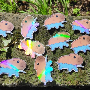 Capybara Sticker Holo | Laptop Aufkleber | Vinyl-Aufkleber | Aufkleber | Niedliche Sticker | Wasserfest | Capybara Kawaii Aufkleber