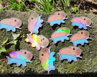 Capybara Sticker Holo | Laptop Sticker | Vinyl Sticker | Deco Stickers | Cute Sticker | Waterproof | Capybara Kawaii Stickers